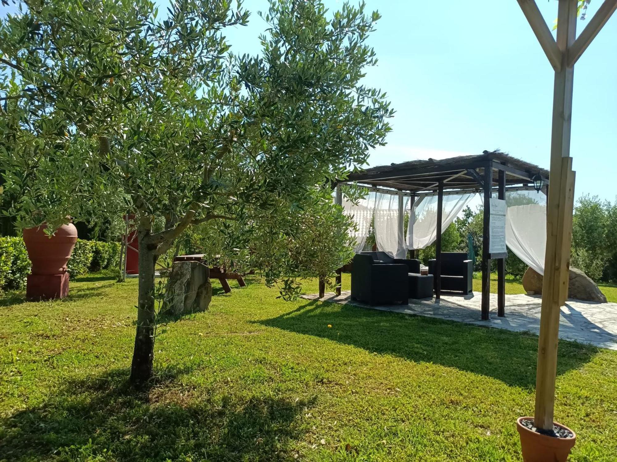 Podere Oliveta Монтекатіні-Валь-ді-Чечина Екстер'єр фото