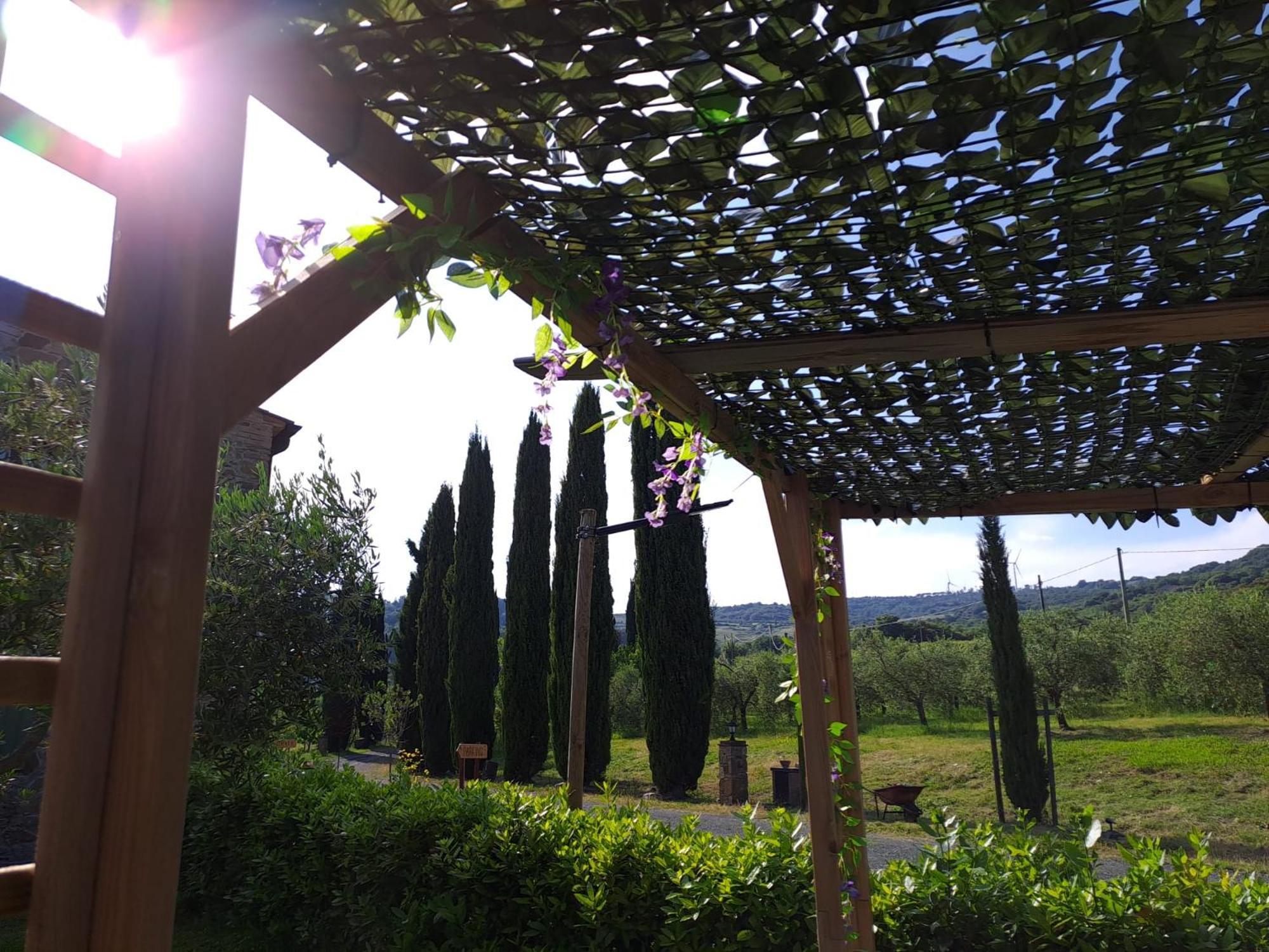 Podere Oliveta Монтекатіні-Валь-ді-Чечина Екстер'єр фото